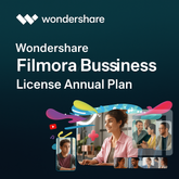 Wondershare Filmora Team/Business License Annual Plan