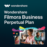 Wondershare Filmora Team/Business License Perpetual Plan